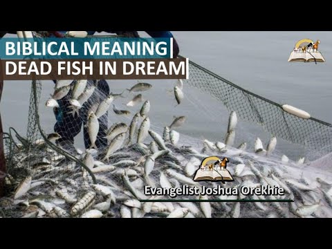 Biblical Meaning of Dead Fish in Dreams - Symbolism and Interpretation