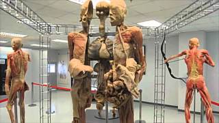 ห้องข่าวTheNation-ห้องเรียนร่างกายมนุษย์