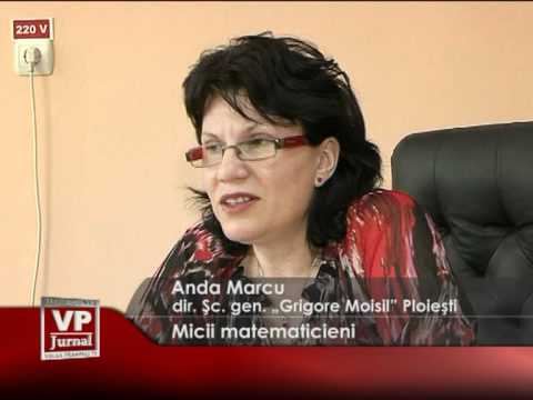 Micii matematicieni