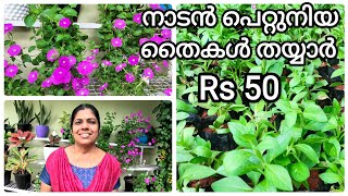 Nadan petunia plants for sale