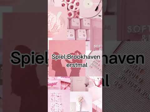 Mein Fantreffen!🥹💗#roblox #treffen #fans #leaarmy