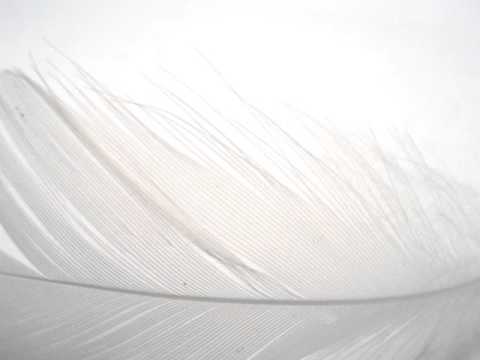 Farytale - Norway 2009 Eurovision WINNER -  ROMAN B VOCAL MIX