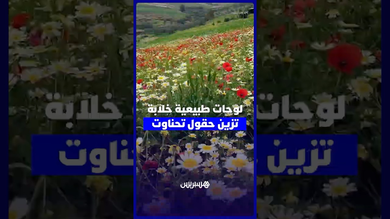 لوحات طبيعية خلابة تزين حقول تحناوت بإقليم الحوز thumbnail