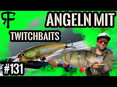 RICHTIG TWITCHEN! | So fängt jeder seinen Barsch!