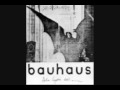 Bauhaus Silent hedges