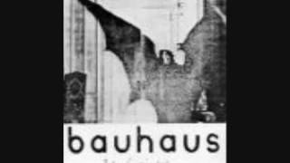 Bauhaus Silent hedges