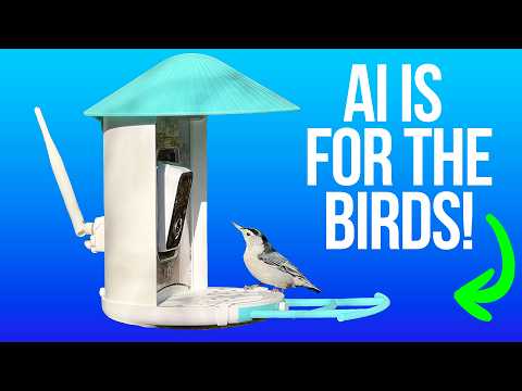 Birdfy Smart Bird Feeder Review: AI is for the birds