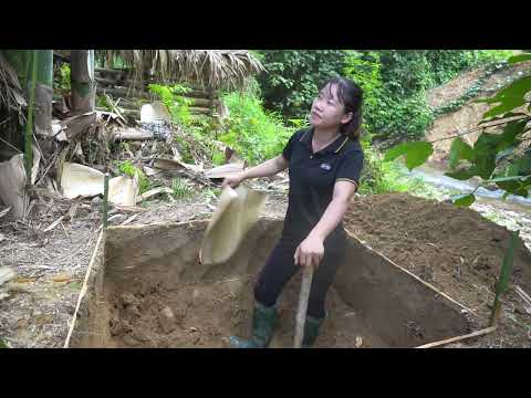 Full Video: 120 Days My Farm In The Village - How To Build Toilet WC - Forest Life, Free Bushcraft