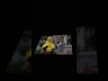 Sesame Street Episode 3469 Ending
