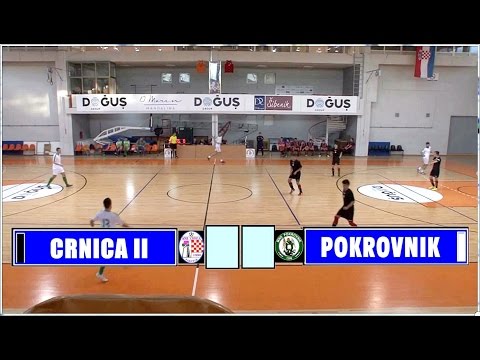 ŽMNL: CRNICA II - POKROVNIK, 05.03.2017.