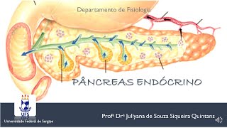 MÓDULO 2   Aula 7 Pancreas