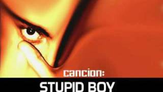STUPID BOY