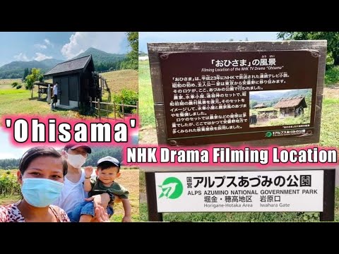 Sunflower Farm + Filming Location of NHK drama ‘Ohisama’ | Azumino Japan