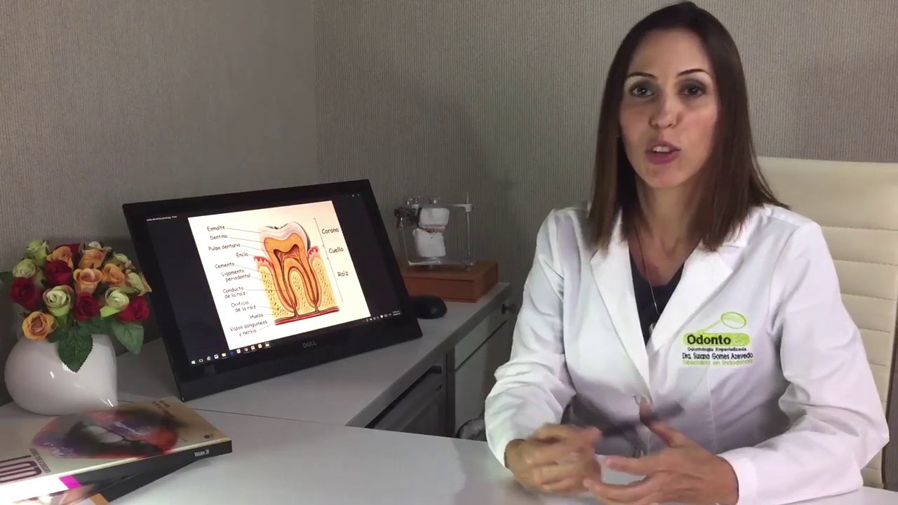 Susana Gomes Azevedo-7