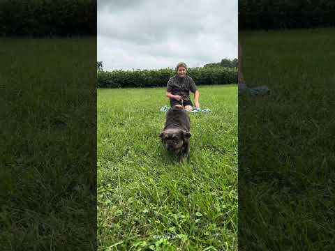 Video 1