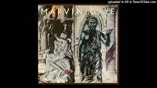 Marvin Gaye - A Funky Space Reincarnation (1978)