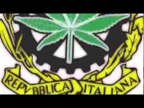 ● Manlio Calafrocampano ● Nessuna condanna per una canna ●