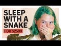 Sleep with a Snake for $2500 Sleep with a Snake for $2500