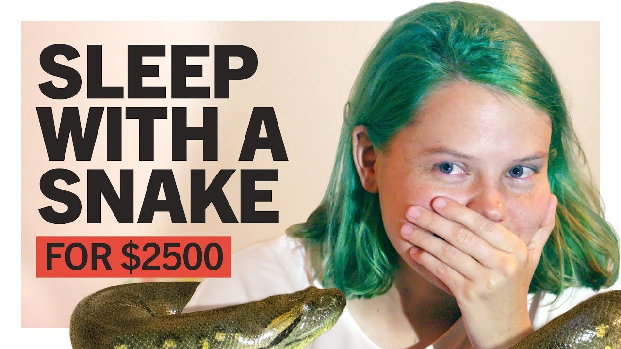 Sleep with a Snake for $2500