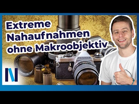 Es muss kein teures Makroobjektiv sein: 3 günstige Alternativen im Überblick!