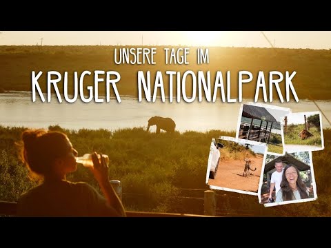 Unsere Tage im Kruger Nationalpark 🥹🦒 (Self Drive Safari Tipps) • #Südafrika • Vlog 275