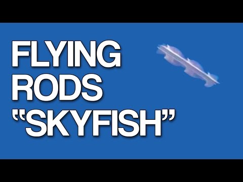 Flying Rods "Skyfish" & Orbs Video