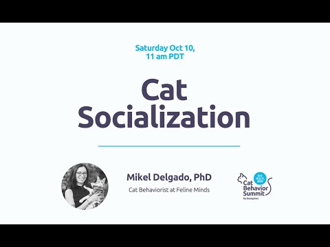 Do Cats Have Friends? [Cat Behavior Summit 2020]