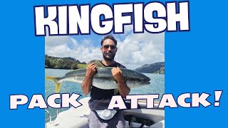 Stickbaiting for Kingfish at Whangaroa Harbour on the brand new Huntsman Centurion!