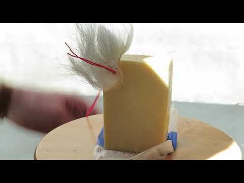 Patrick Cosgrove - A History of Unnecessary Developments