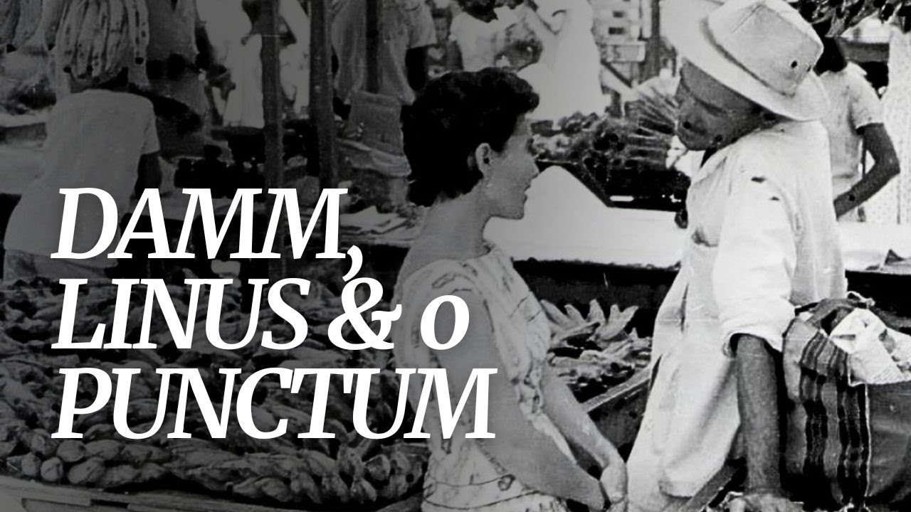 Flávio Damm, Linus e o Punctum: Como Criar Fotos de Rua que "Ferem" o Olhar