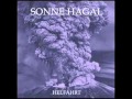 Sonne Hagal - Raidho 