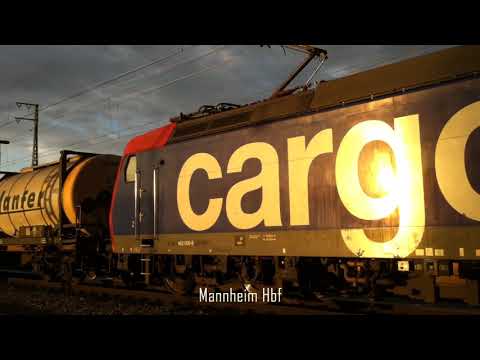 Einar zeigt Züge: Re482 Zusammenstellung 2020  - nur Lokomotiven