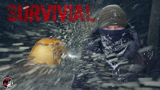 Camping in a Snowstorm - 16F + 45MPH Winds - Heavy Snow Camp