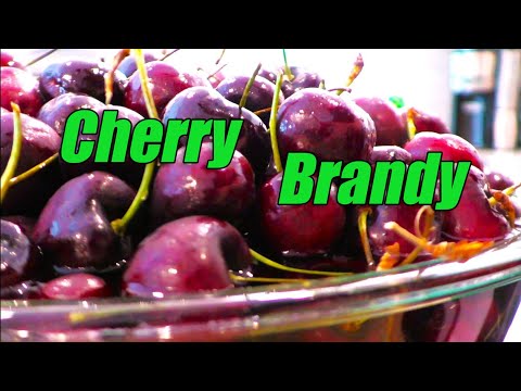 🍒How to Make CHERRY BRANDY! - Kirschwasser🍒