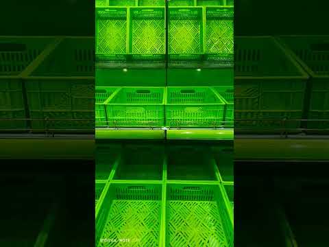 new model fruit shop, how to make fruit shop