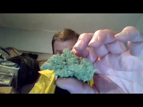 Incredi-BUDS 4/20 Edition--Cali Coco by Cali Lotus, available at Stiiizy Union Square!