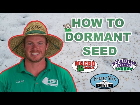 What is Dormant Seeding? How to Dormant Seed in the Winter