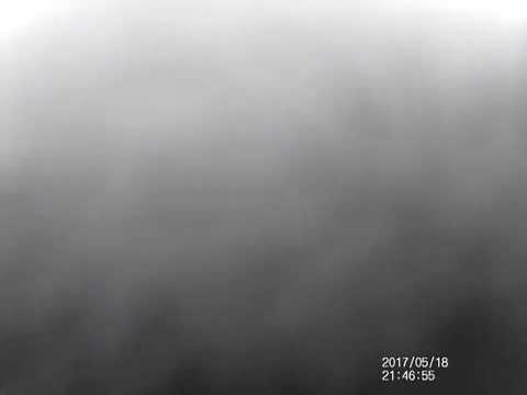 #hedgehog close-up 180517