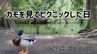 カモとピクニックと木登り 春のFarmleigh House