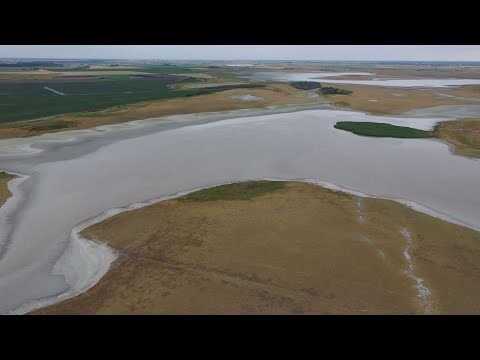 M5 TV – Kirándulás a Felső-Kiskunsági Szikes tavakhoz – 2025/31. adás – 2025.08.03.