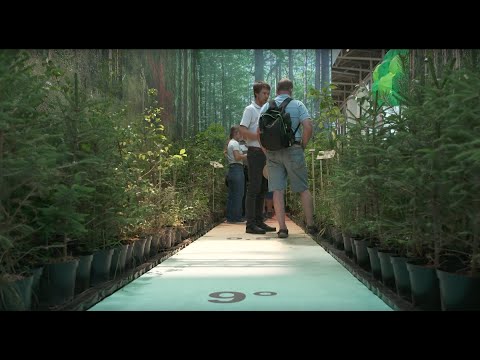 INTERFORST 2022 - Future of Forestry