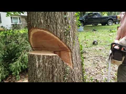 Sizwheel on side leaner