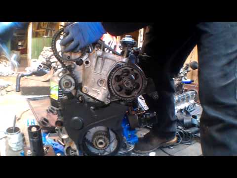 Timing belt on an XUD motor