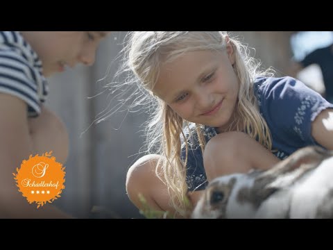 Video 44 aus  Schädlerhof