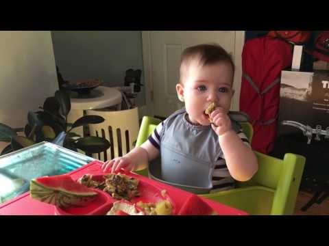 download lagu mp3 mp4 Can Babies Eat Mushrooms, download lagu Can Babies Eat Mushrooms gratis, unduh video klip Can Babies Eat Mushrooms