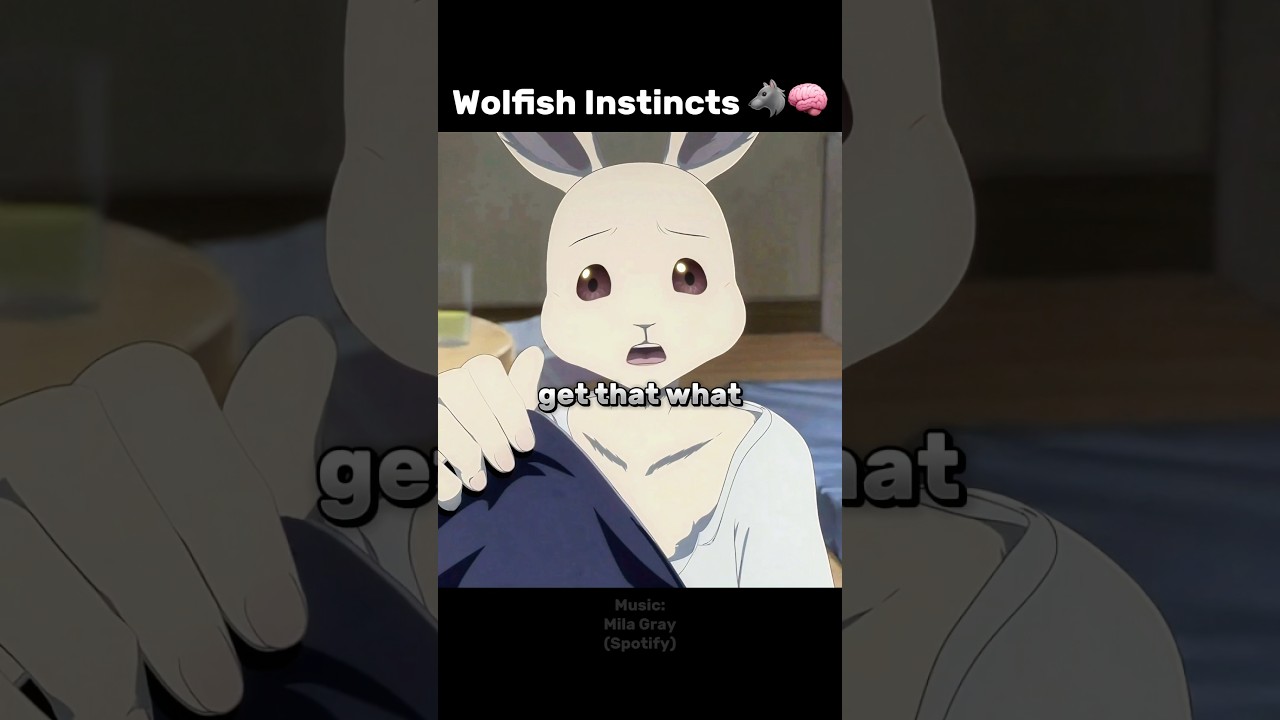 Haru saw Legoshi's injuries 😮 #beastars #anime