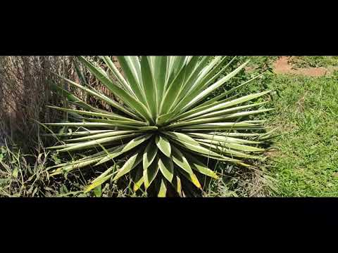 Un lugar en San Ignacio Misiones Py.