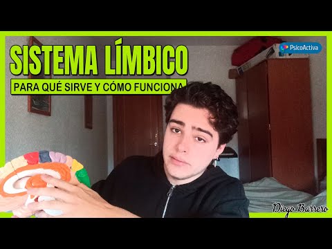 El Sistema Límbico: El Centro Emocional del Cerebro 🧠