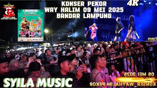 Download lagu KONSER PEKOR||STECU-STECU||_WAY HALIM  PEKOR_REMIX LAMPUNG_ PROM SYILA MUSIC LAMPUNG 2025 mp3