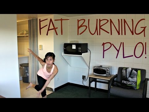 download lagu mp3 mp4 Pylo, download lagu Pylo gratis, unduh video klip Pylo